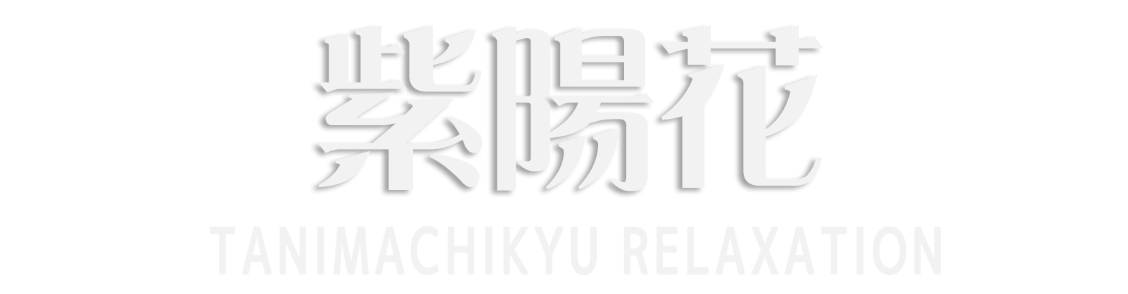 谷町九丁目 紫陽花